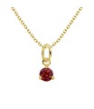 January Birthstone Silver Necklace SPE-5688
